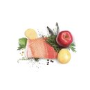 DIBAQ Sense getreidefrei Lachs 12kg