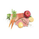 DIBAQ Sense Welpen getreidefrei Lachs & Truthahn 12kg