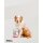 DIBAQ SENSE Dental Schwein 100g