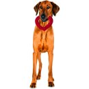 LABONI - Hertha Heart