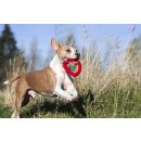 LABONI - Hertha Heart