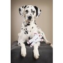 LABONI - Volentis GmbH - Shawn der Schneemann - Dog Toy