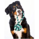 LABONI  - Mega Schleuderball