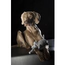 Laboni Hundespielzeug - Elton Elefant